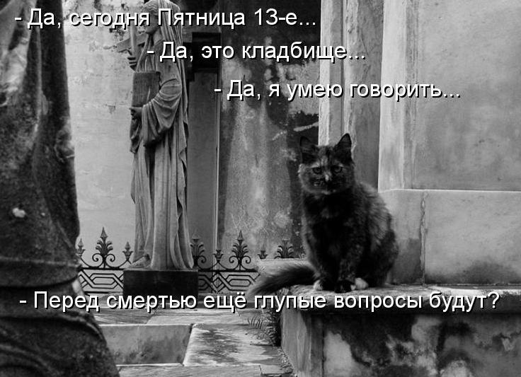 Свежее фото (пятничный угар)